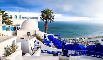 UNESCO places Tunisia's Sidi Bou Said village on World Heritage List